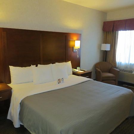 Comfort Inn San Jose International Airport Zimmer foto
